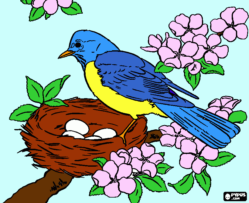 Fågel coloring page