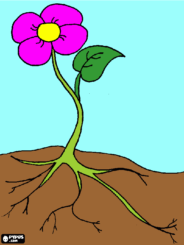 Science Project Flower coloring page