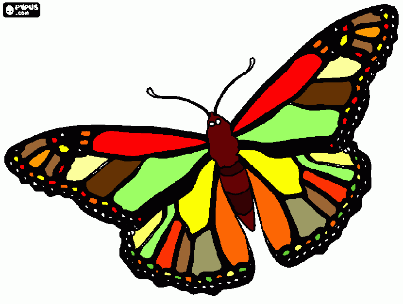zach's butterfly coloring page