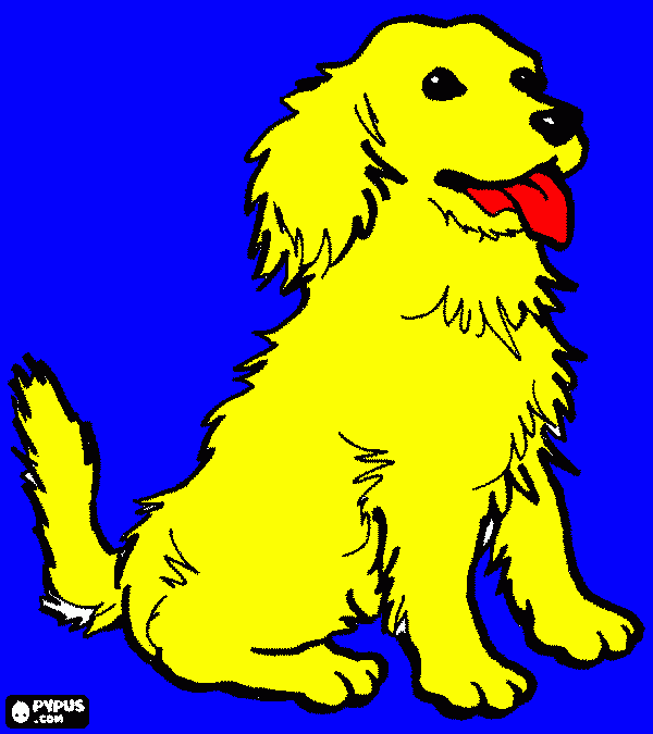 a golden retriver dog coloring page