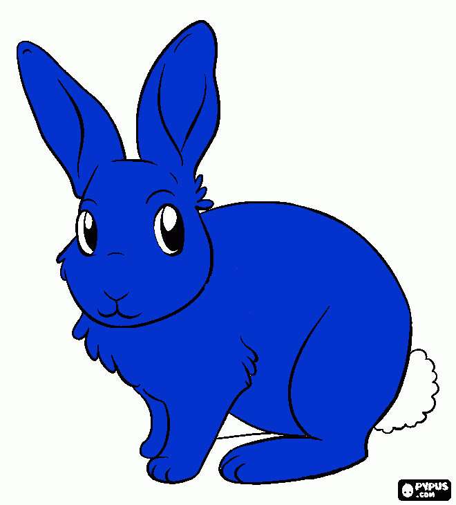 Blue bunny coloring page