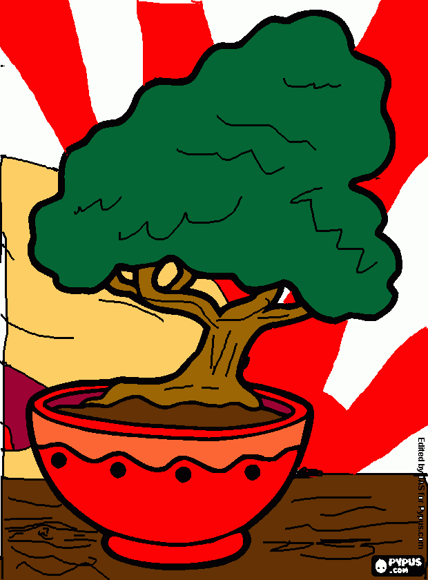 bonsai coloring page