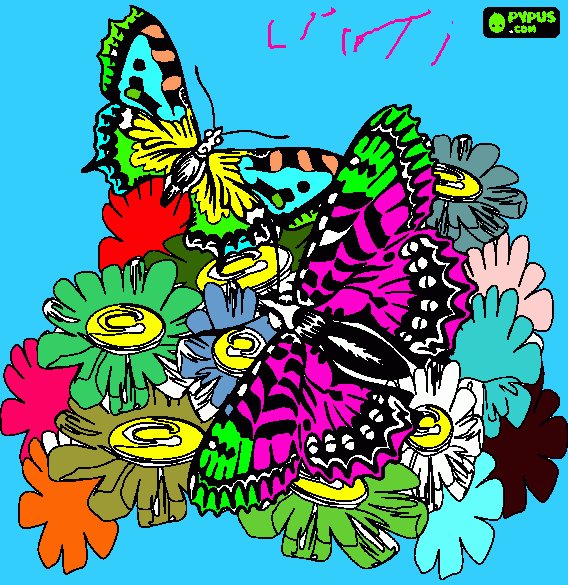 Butterflies drinking honey coloring page