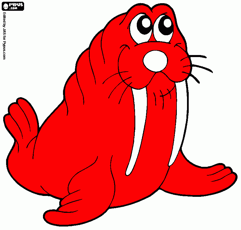 Chatsworth the walrus coloring page