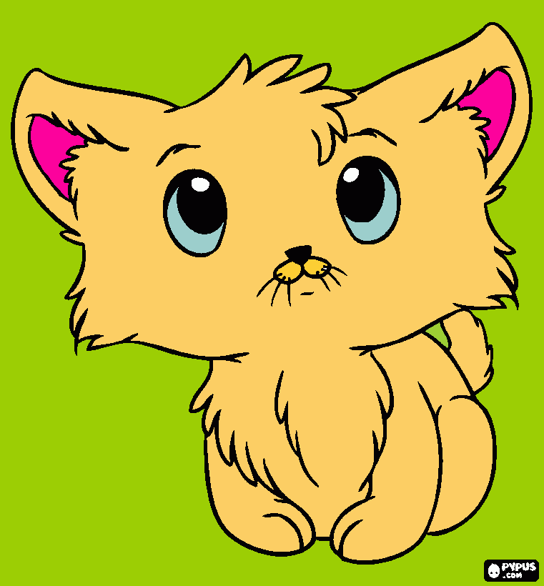 Cute little kitty kat! coloring page