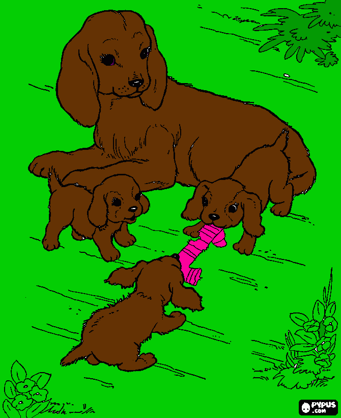 dog with puppies coloring page