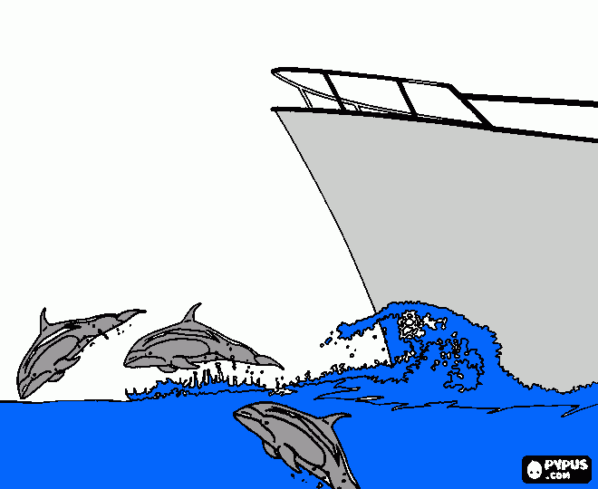 dolphin pic coloring page