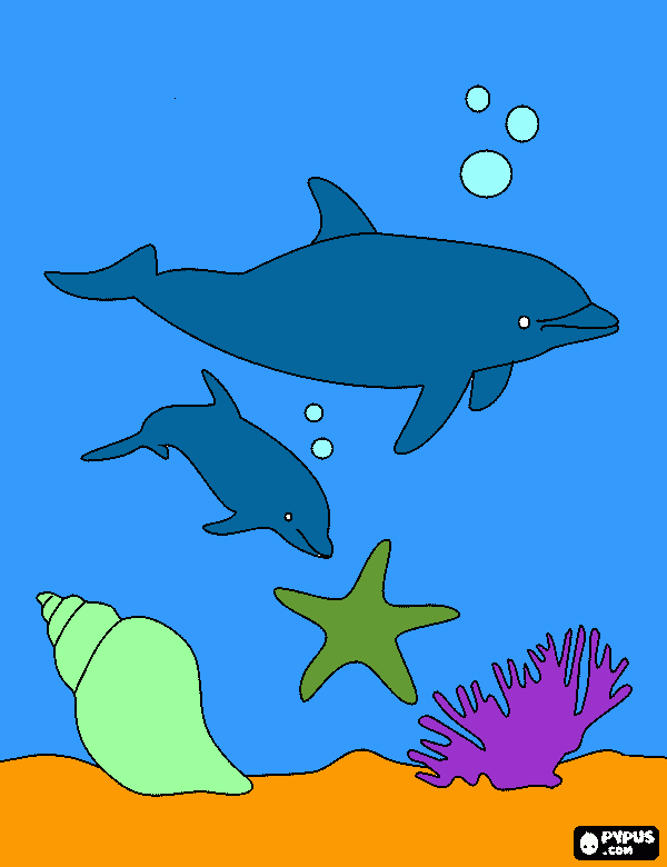 dolps coloring page