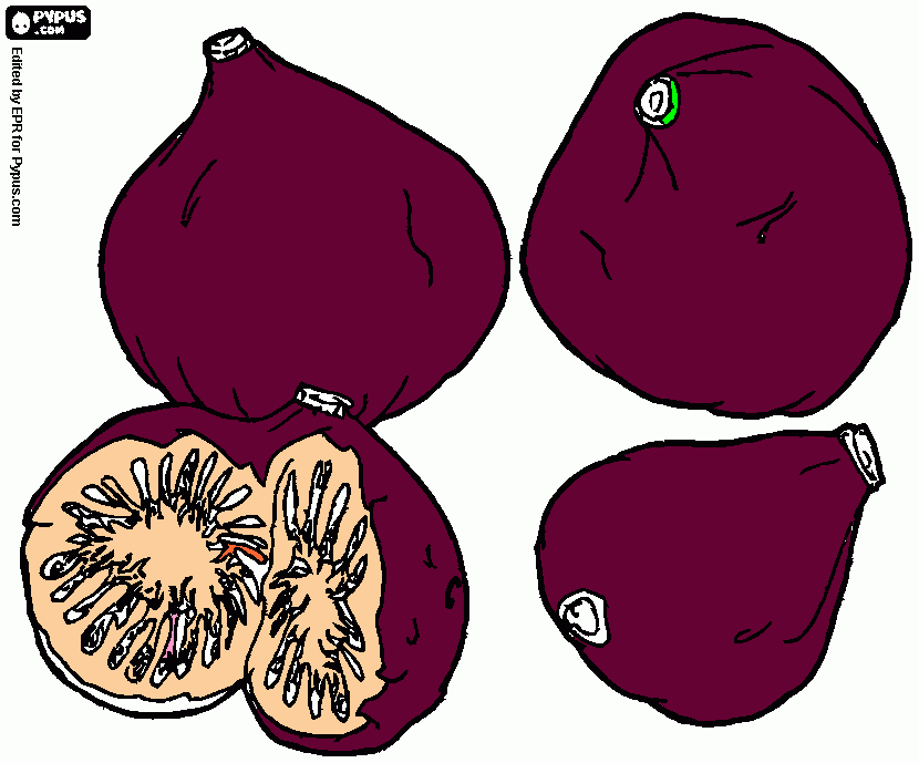 Four Figs coloring page