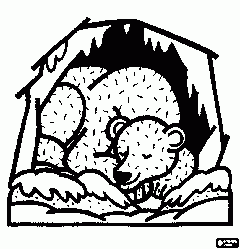 Hibernating bear colour coloring page