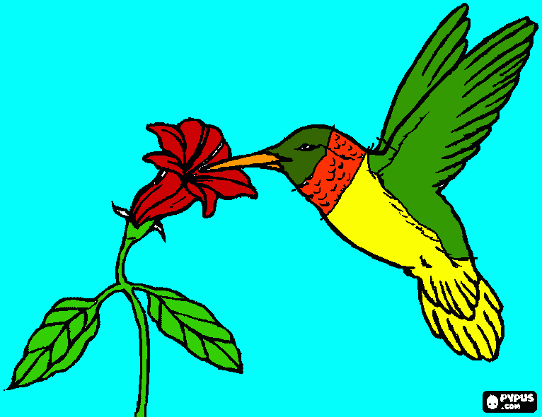 hummingbird :) coloring page