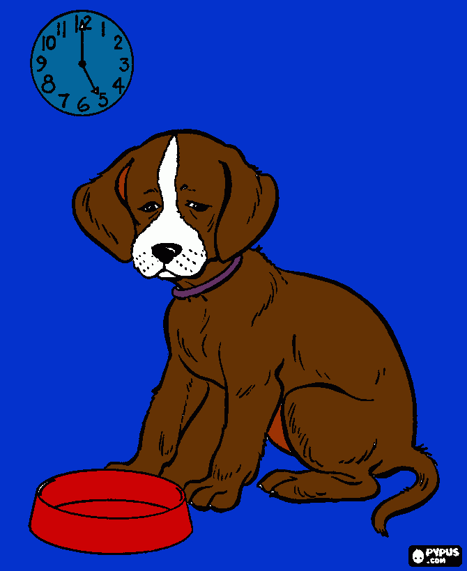 Hund coloring page