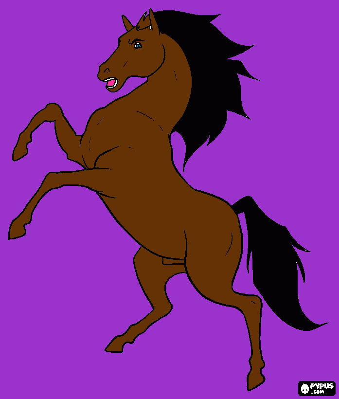 my horsesey coloring page