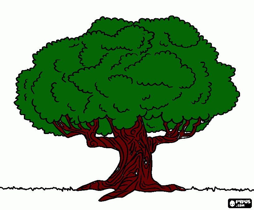 oakwood acorns coloring page