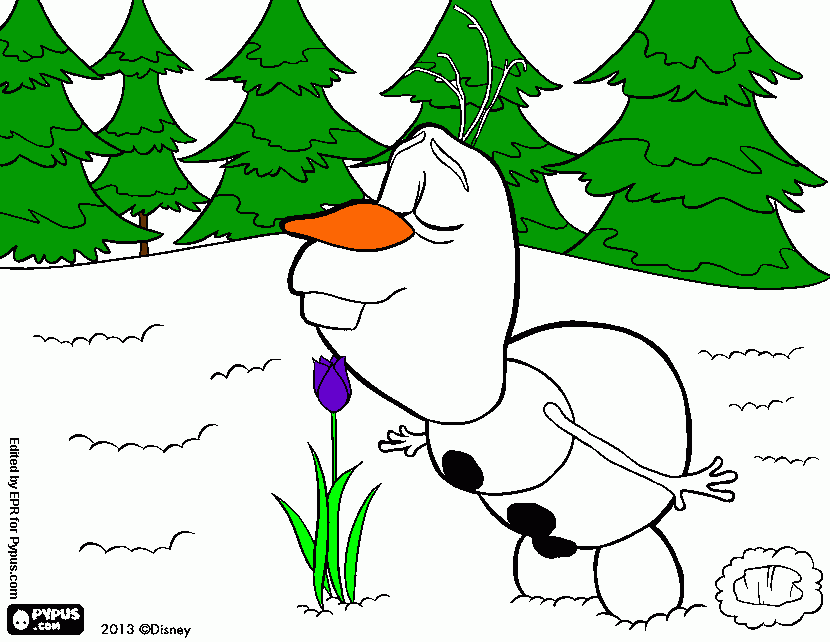 olaf!!! coloring page