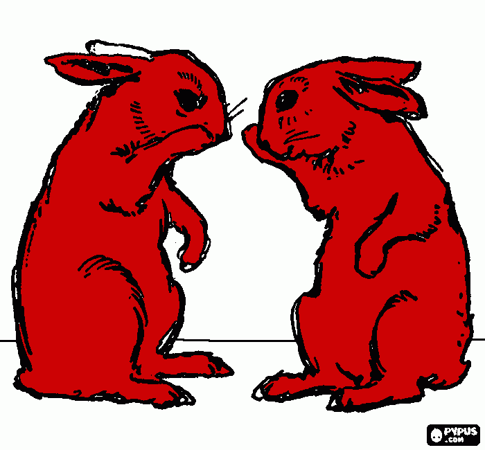 theseb are two rabbits I have from market for you coloring page