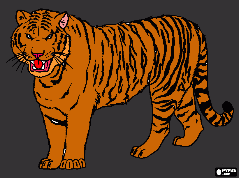 tiger coloring page