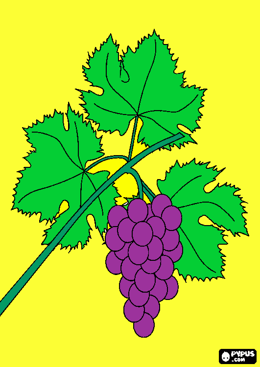 vine and branches coloring page