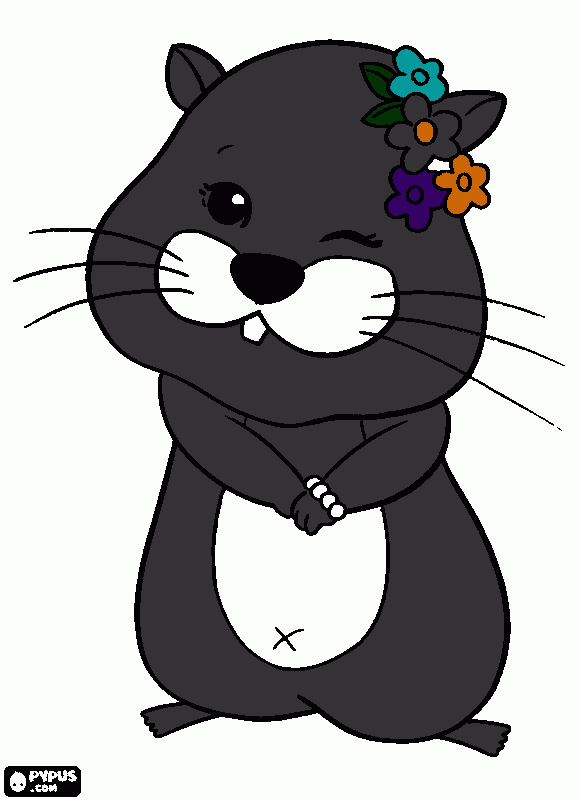 ZHU ZHU coloring page